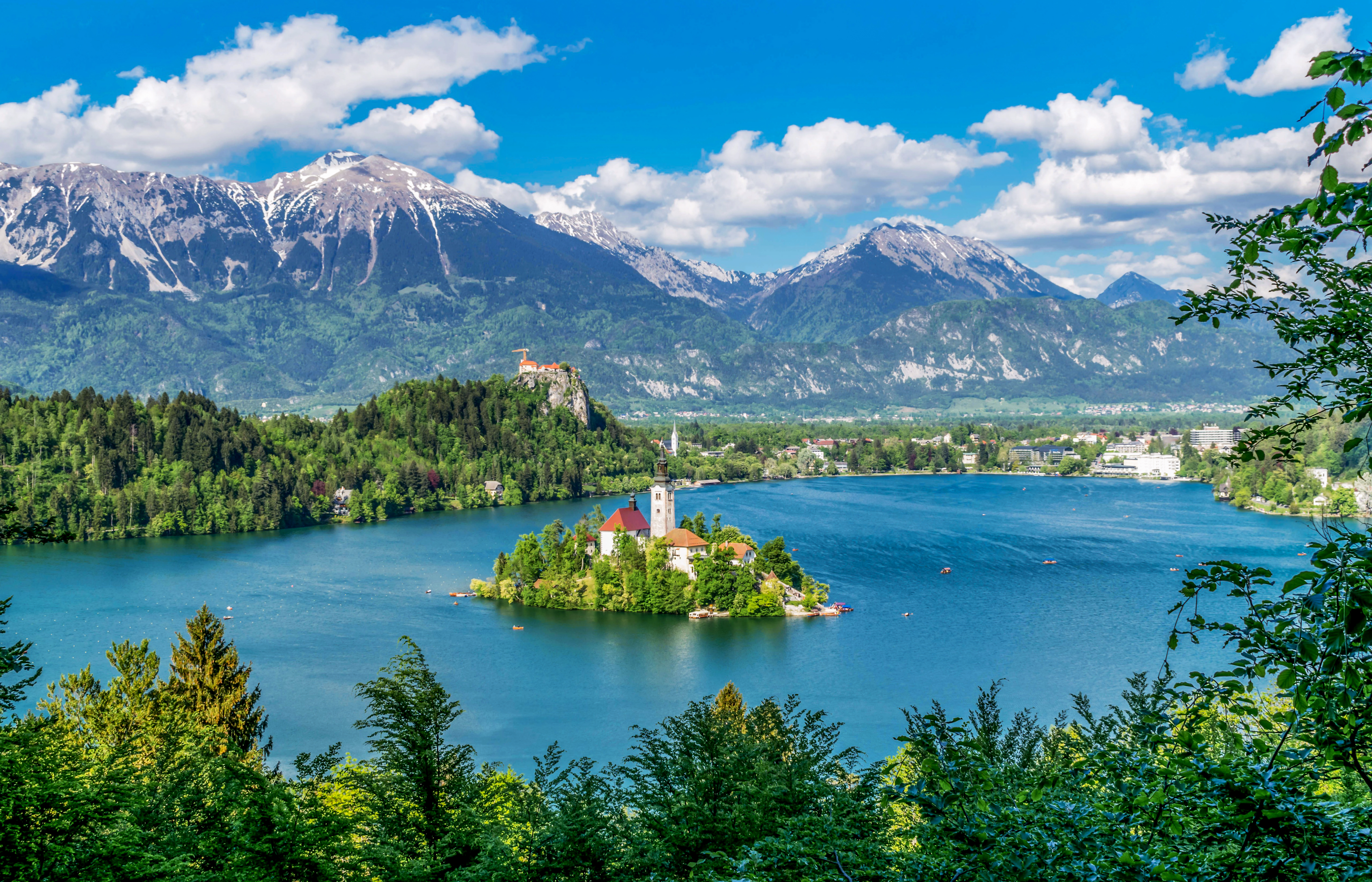 Bled